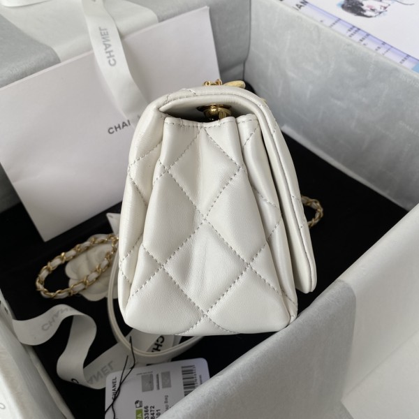 Handbag   Chanel   AS3366  size  20X9X13.5 Cm