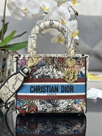 Handbag   Dior  M0565  size  24*20*11  cm
