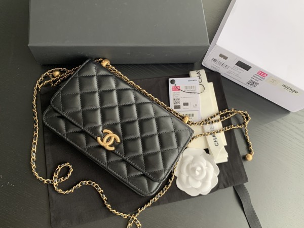 Handbag   Chanel 2289  size  19  cm