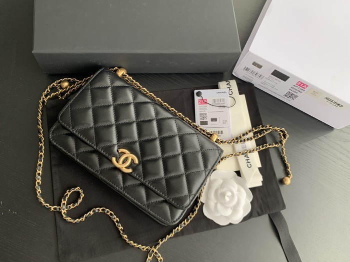 Handbag   Chanel 2289  size  19  cm