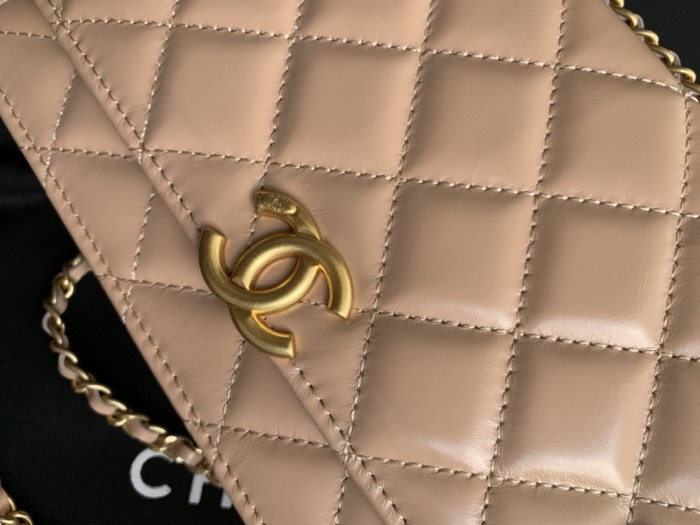 Handbag   Chanel  2289  size  19 cm