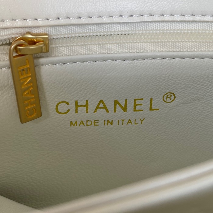 Handbag   Chanel   AS3366  size  20X9X13.5 Cm