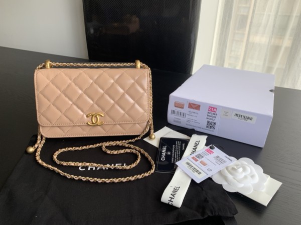 Handbag   Chanel  2289  size  19 cm