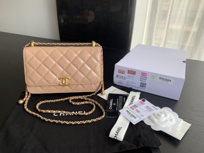 Handbag   Chanel  2289  size  19 cm