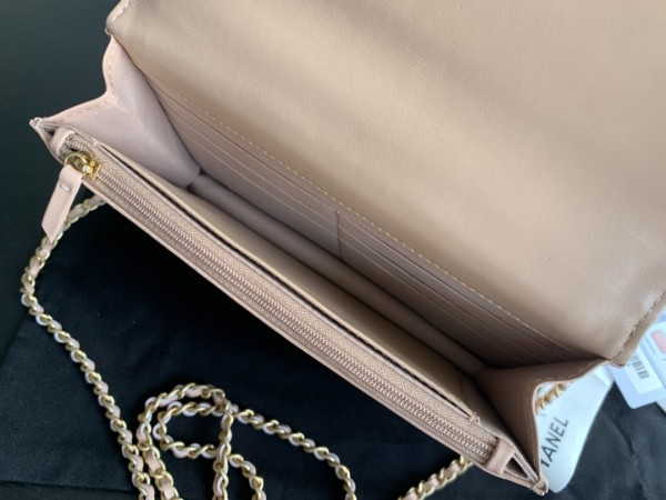 Handbag   Chanel  2289  size  19 cm