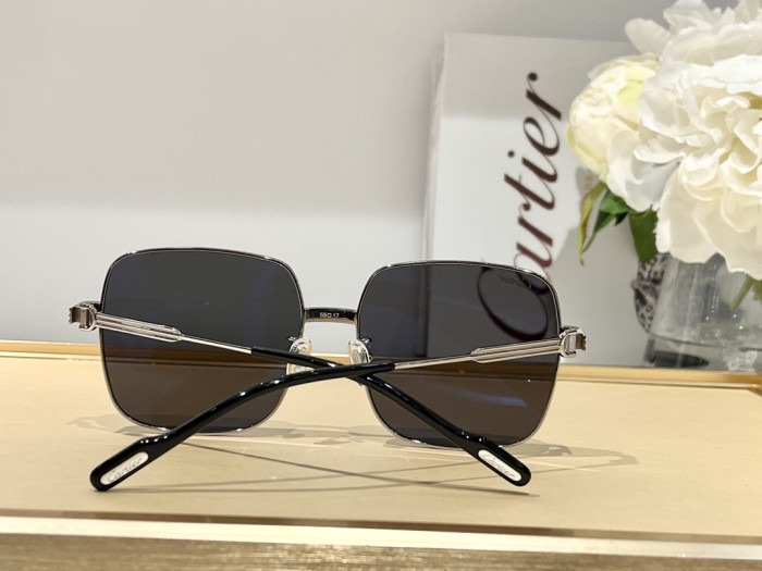 Sunglasses Cartier CT0304 SIZE：59 17-145