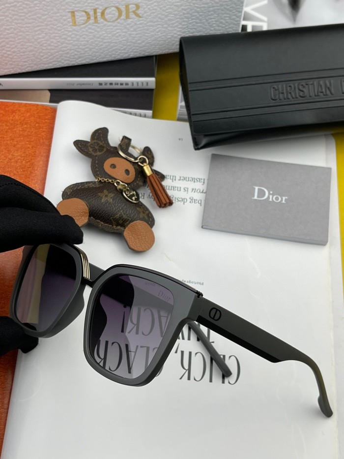 sunglasses Dior CD1611