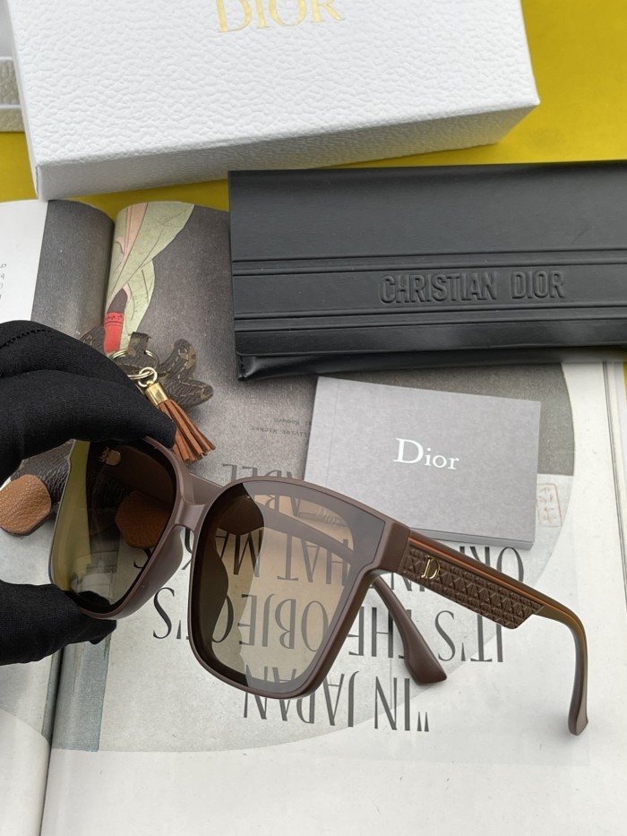 sunglasses Dior CD5190