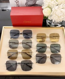 Sunglasses Cartier CT0304 SIZE：59 17-145