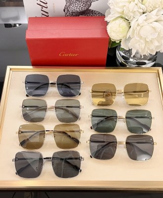Sunglasses Cartier CT0304 SIZE：59 17-145
