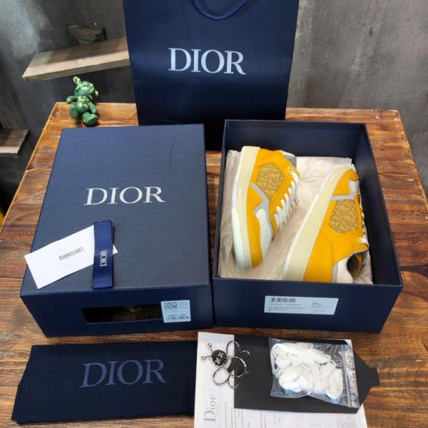 Dior B27 Low Gold-Tone White Grey