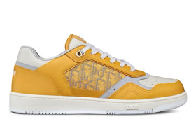 Dior B27 Low Gold-Tone White Grey