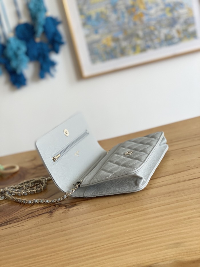 Handbag  Chanel 0250  size  19 cm