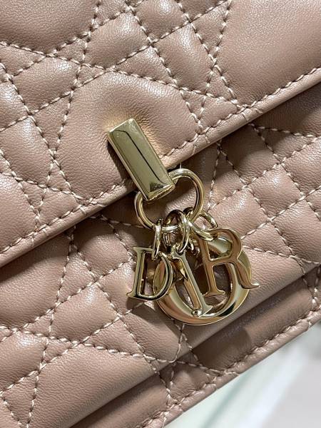 Handbag   Dior  0937  size 19.5×12.5×5 cm