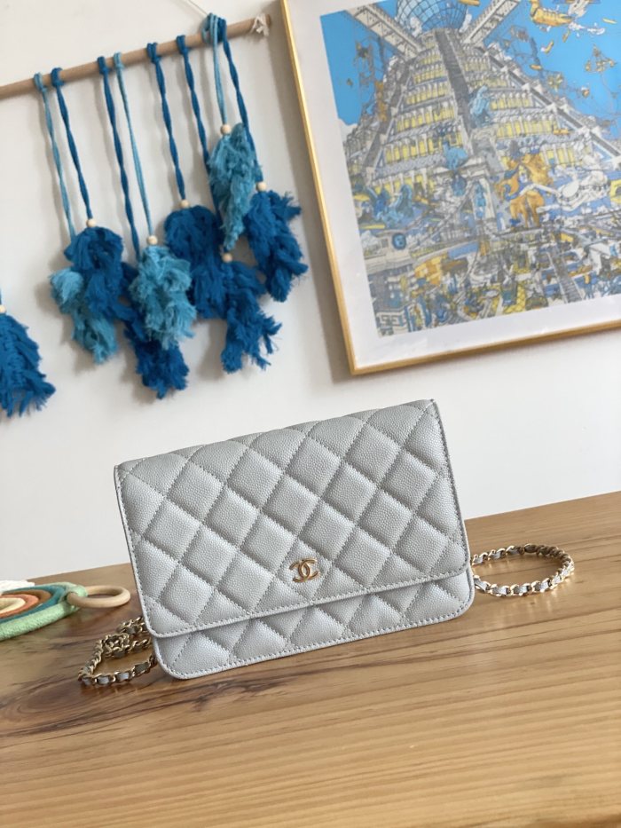 Handbag  Chanel 0250  size  19 cm