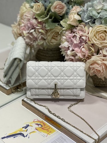 Handbag   Dior  0937  size  19.5×12.5×5 cm