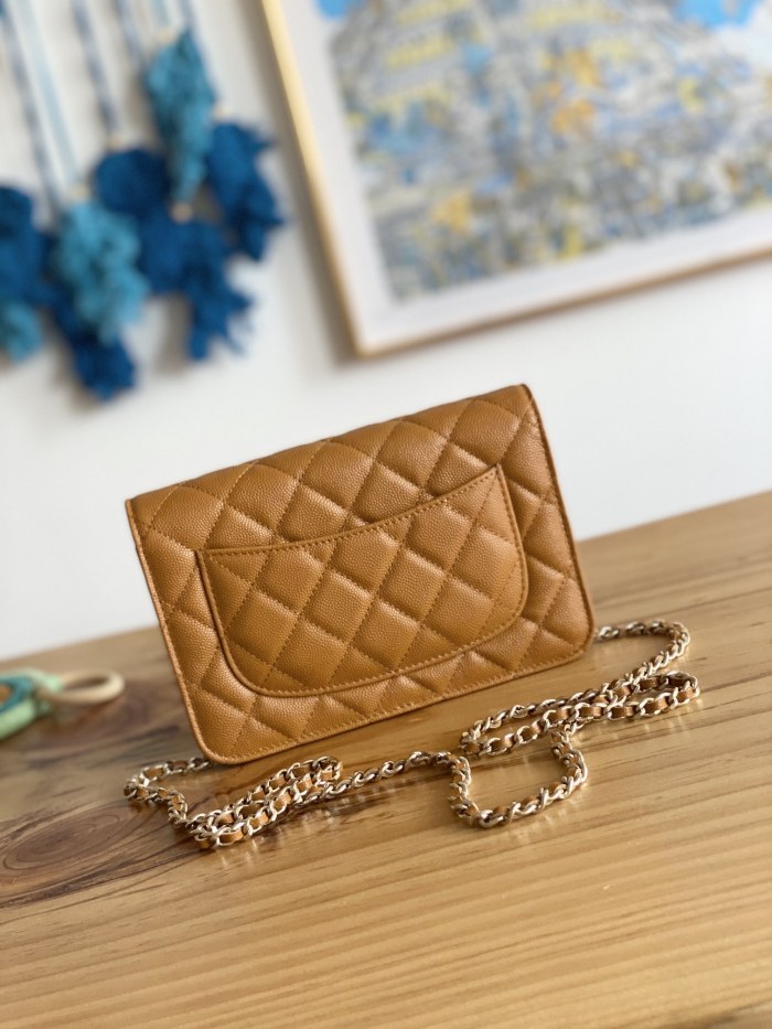 Handbag Chanel 0250  size  19 cm