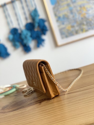 Handbag Chanel 0250  size  19 cm