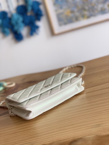 Handbag   Chanel  0250  size  19 cm