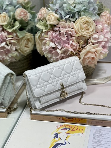 Handbag   Dior  0937  size  19.5×12.5×5 cm