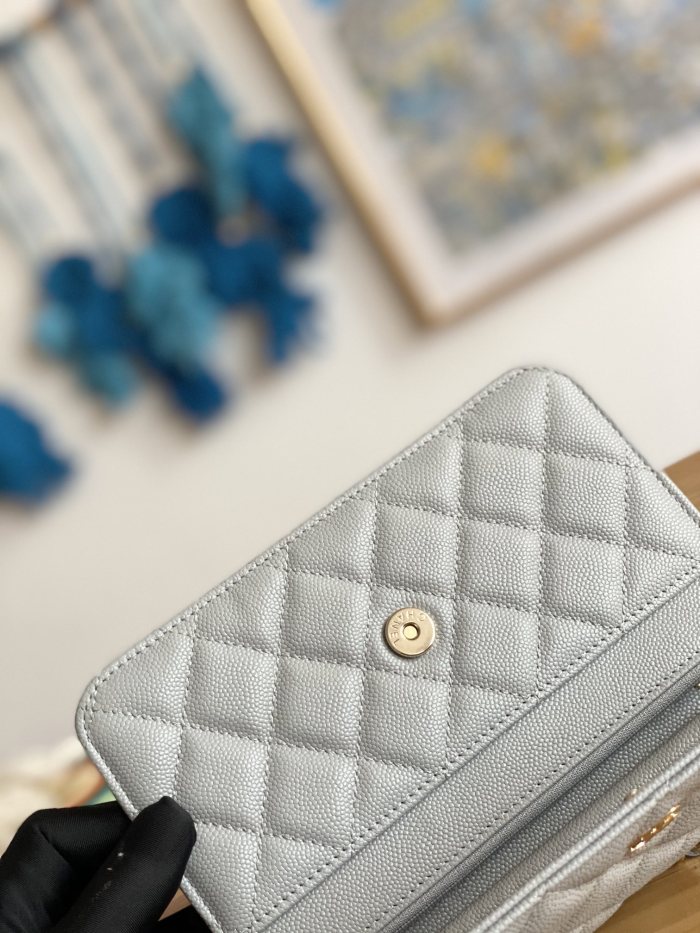 Handbag  Chanel 0250  size  19 cm