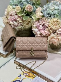 Handbag   Dior  0937  size 19.5×12.5×5 cm