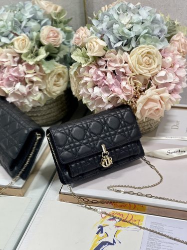 Handbag   Dior  0937  size  19.5×12.5×5 cm