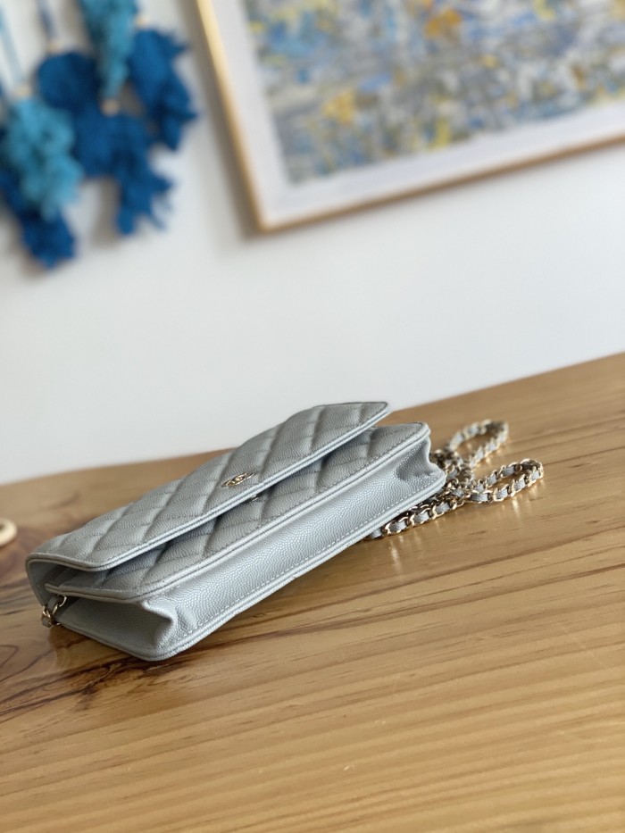 Handbag  Chanel 0250  size  19 cm