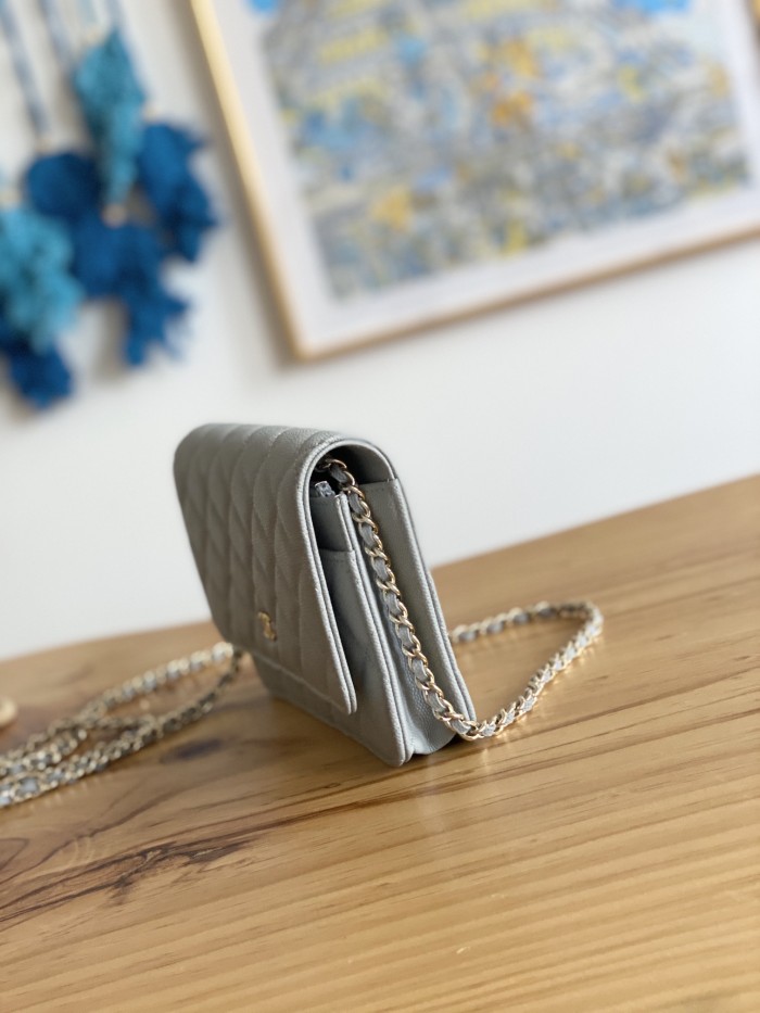 Handbag  Chanel 0250  size  19 cm