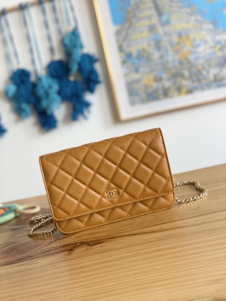 Handbag Chanel 0250  size  19 cm