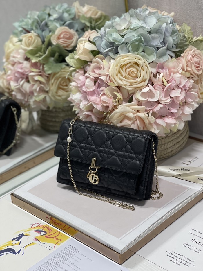 Handbag   Dior  0937  size  19.5×12.5×5 cm