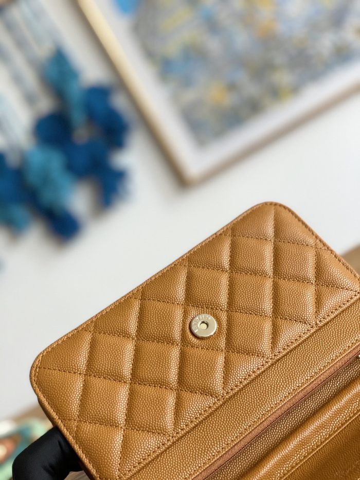 Handbag Chanel 0250  size  19 cm