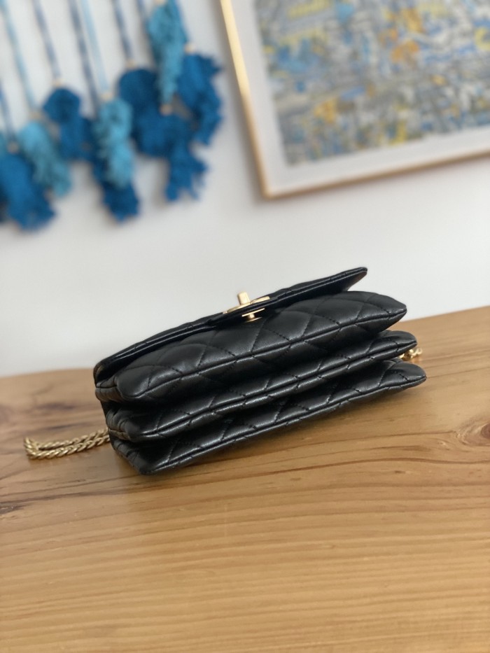  Handbag  Chanel  AS3393  size  14x22x8 cm