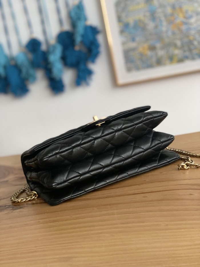  Handbag  Chanel   AS3609  size  16x25x10 cm