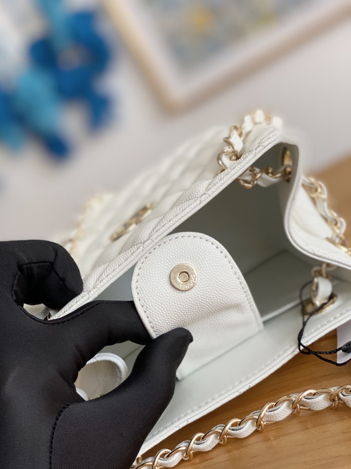 Handbag   Chanel  AS3176  size  16X15X9 cm