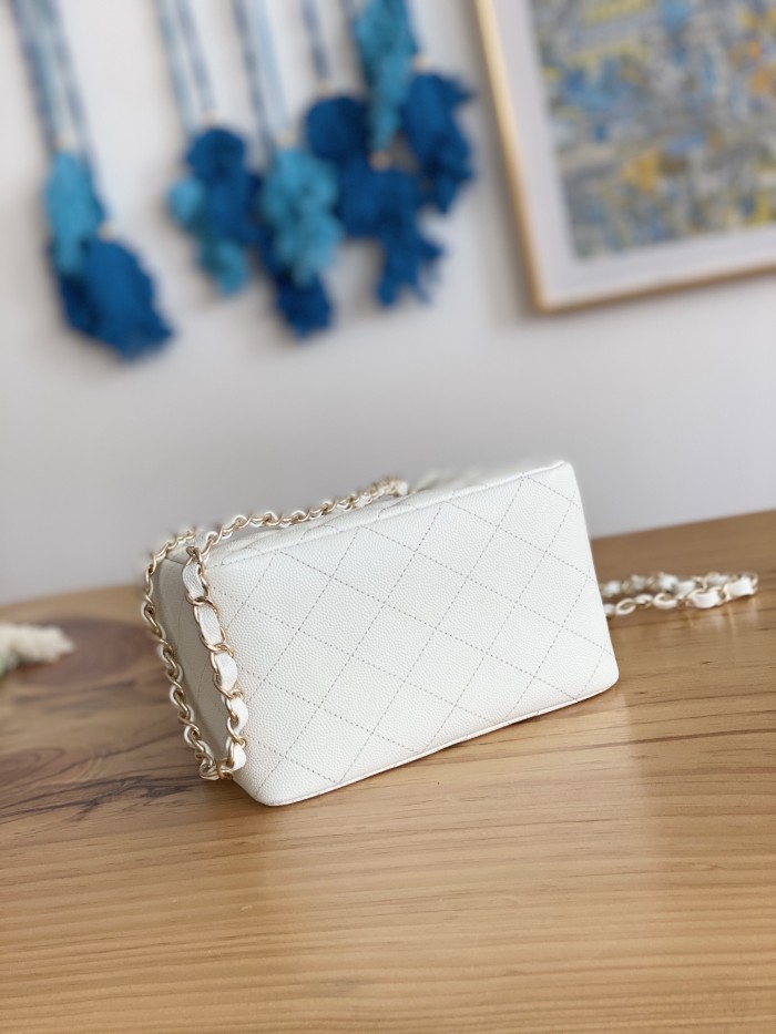 Handbag   Chanel  AS3176  size  16X15X9 cm