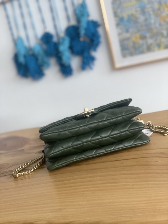  Handbag  Chanel  AS3393  size  14x22x8 cm