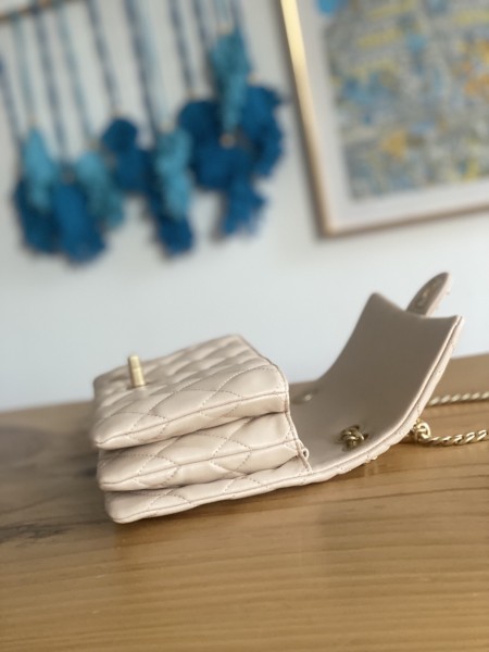  Handbag  Chanel AS3393  size  14x22x8 cm