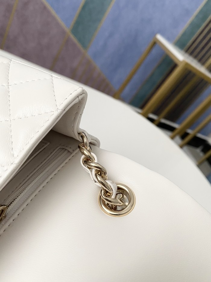 Handbag    Chanel AS2326  size  20 cm