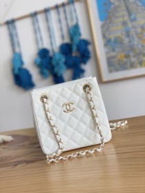 Handbag   Chanel  AS3176  size  16X15X9 cm
