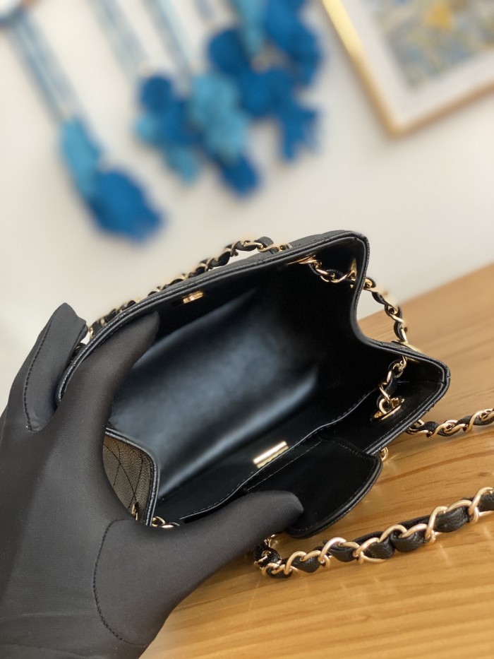 Handbag   Chanel  AS3176  size  16X15X9 cm