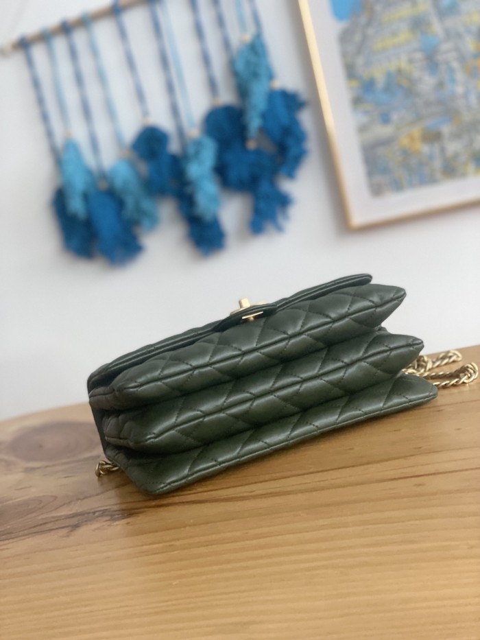  Handbag  Chanel  AS3609 size  16x25x10 cm