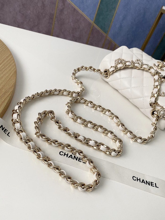 Handbag    Chanel AS2326  size  20 cm