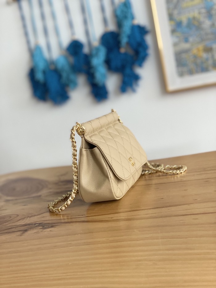 Handbag Chanel  AP3008  size  12X17.5X5.5 cm