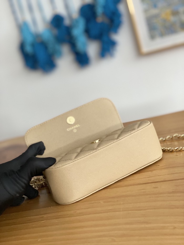 Handbag Chanel  AP3008  size  12X17.5X5.5 cm