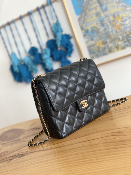  Handbag Chanel   3649  size  21  17  9  cm