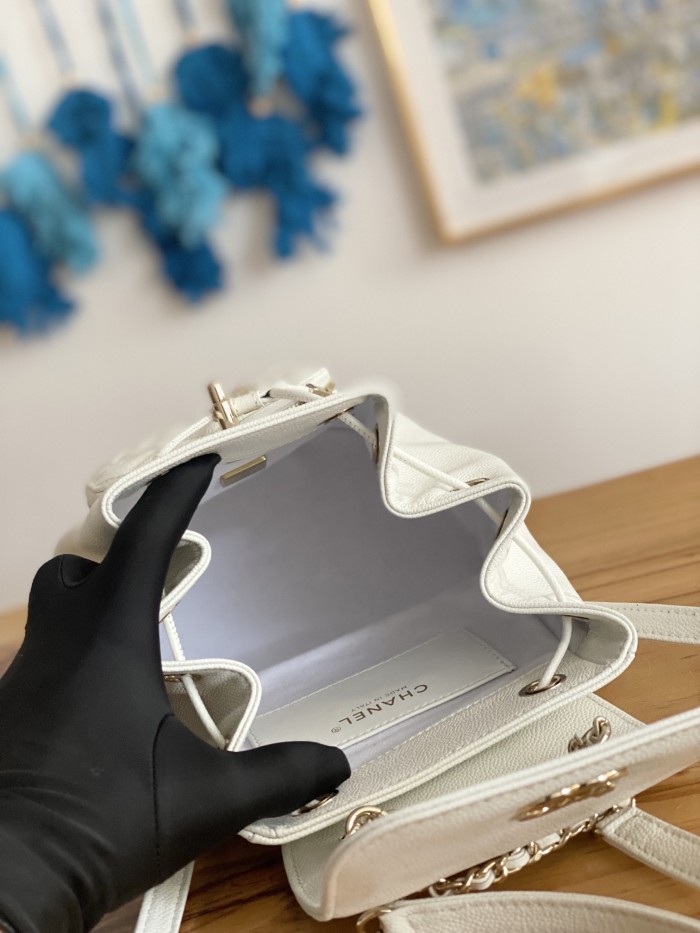  Handbag Chanel  AS3530  size 19*20*12 cm