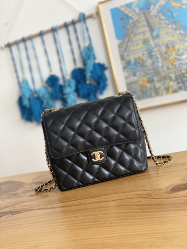  Handbag Chanel   3649  size  21  17  9  cm