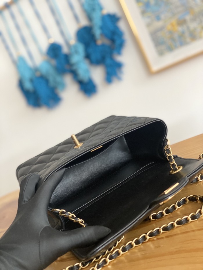  Handbag Chanel   3649  size  21  17  9  cm