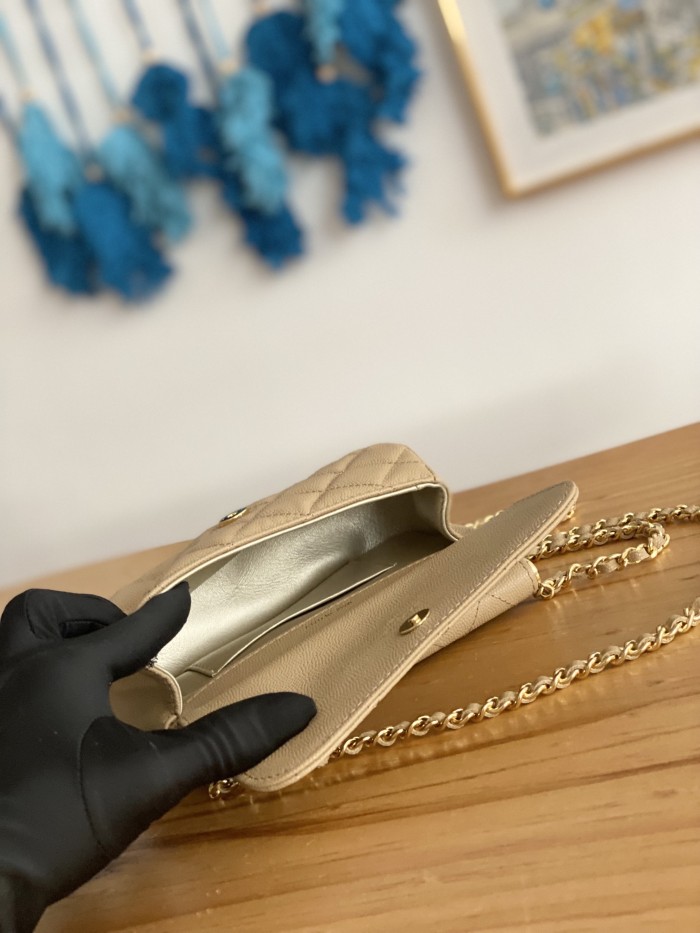 Handbag Chanel  AP3008  size  12X17.5X5.5 cm